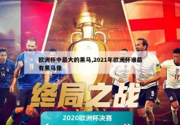 欧洲杯中最大的黑马,2021年欧洲杯谁最有黑马像