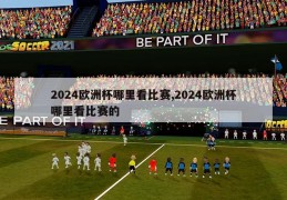 2024欧洲杯哪里看比赛,2024欧洲杯哪里看比赛的