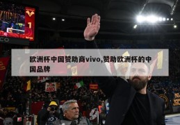 欧洲杯中国赞助商vivo,赞助欧洲杯的中国品牌