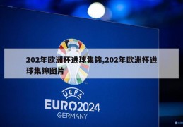 202年欧洲杯进球集锦,202年欧洲杯进球集锦图片