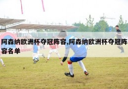 阿森纳欧洲杯夺冠阵容,阿森纳欧洲杯夺冠阵容名单