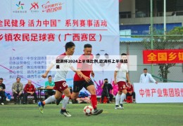 欧洲杯2024上半场比例,欧洲杯上半场结果