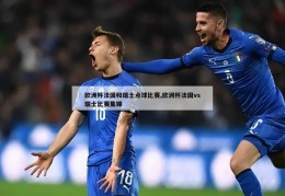 欧洲杯法国和瑞士点球比赛,欧洲杯法国vs瑞士比赛集锦